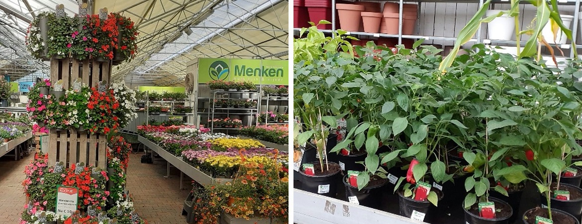 Tuinplanten verzorgen nabij Gorredijk Groen Goed Menken