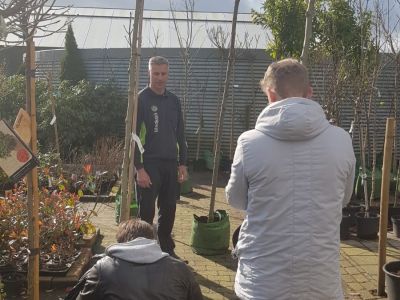 Plant een boom!
