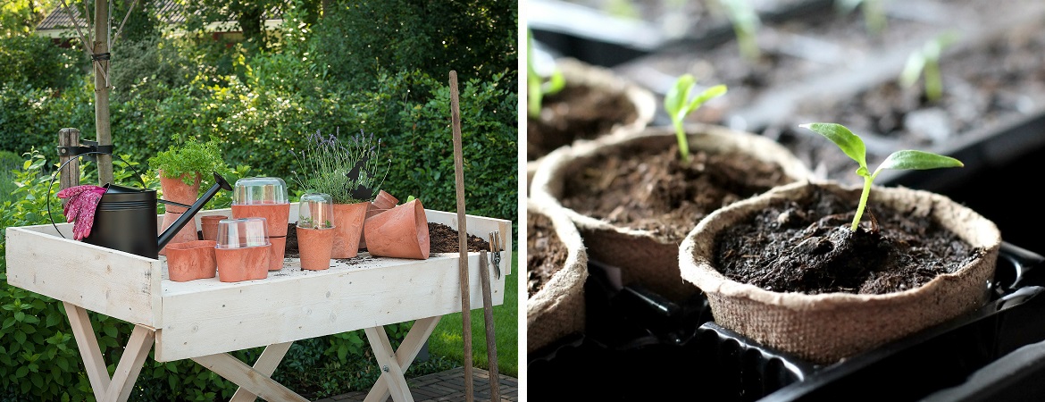 Moestuin Friesland | Groen Menken