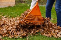 12 tuintips voor oktober