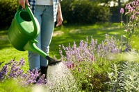 7 tips voor wijs omgaan met water in de tuin