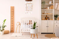 De leukste kamerplanten voor op de kinderkamer