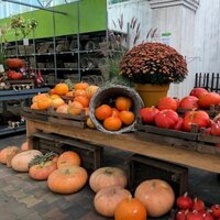 Doe mee: wie pimpt de mooiste pompoen of kalebas?