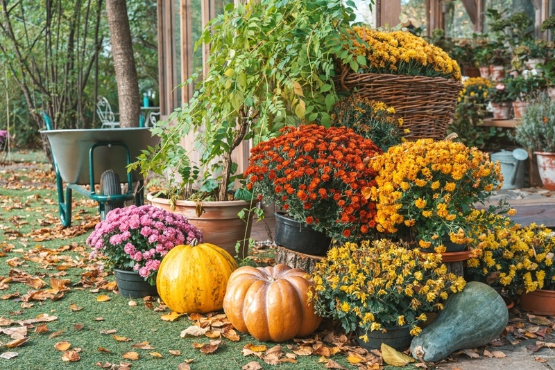 Geef je tuin terug aan de natuur (en waarom dat goed is)