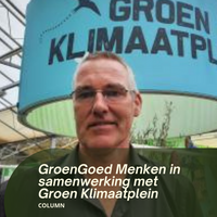 Hans Menken: Hittestress? Groen zorgt voor verkoeling