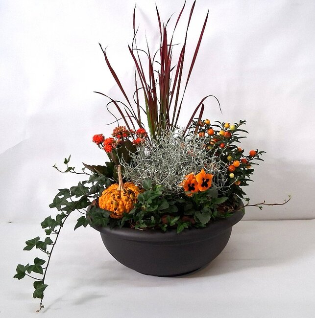 Arrangement