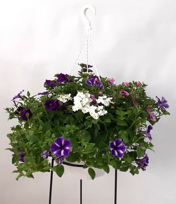 Hanger met stekperkgoed