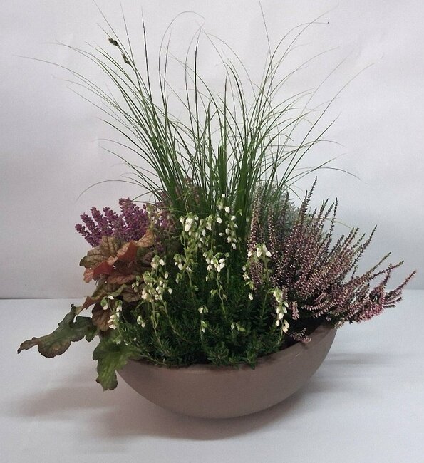 Mooi arrangement