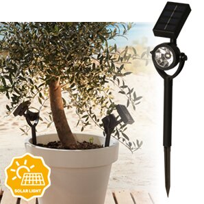 Solar spotlamp