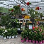 Planten