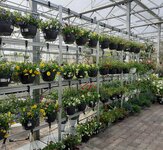 Planten