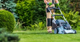 Gazon bemesten voor mooi grasmat - Groen Goed Menken