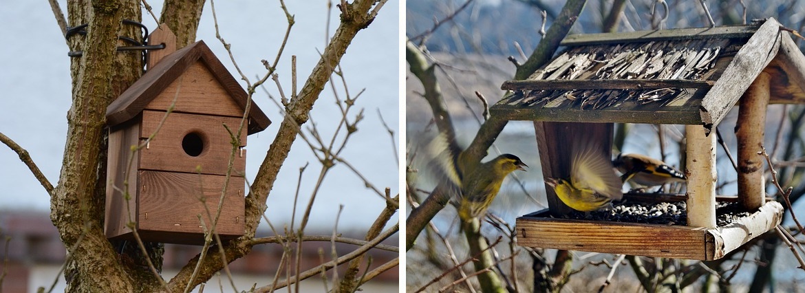 Vogelhuisje kopen bij Groen Goed Menken in Hommerts en Haule